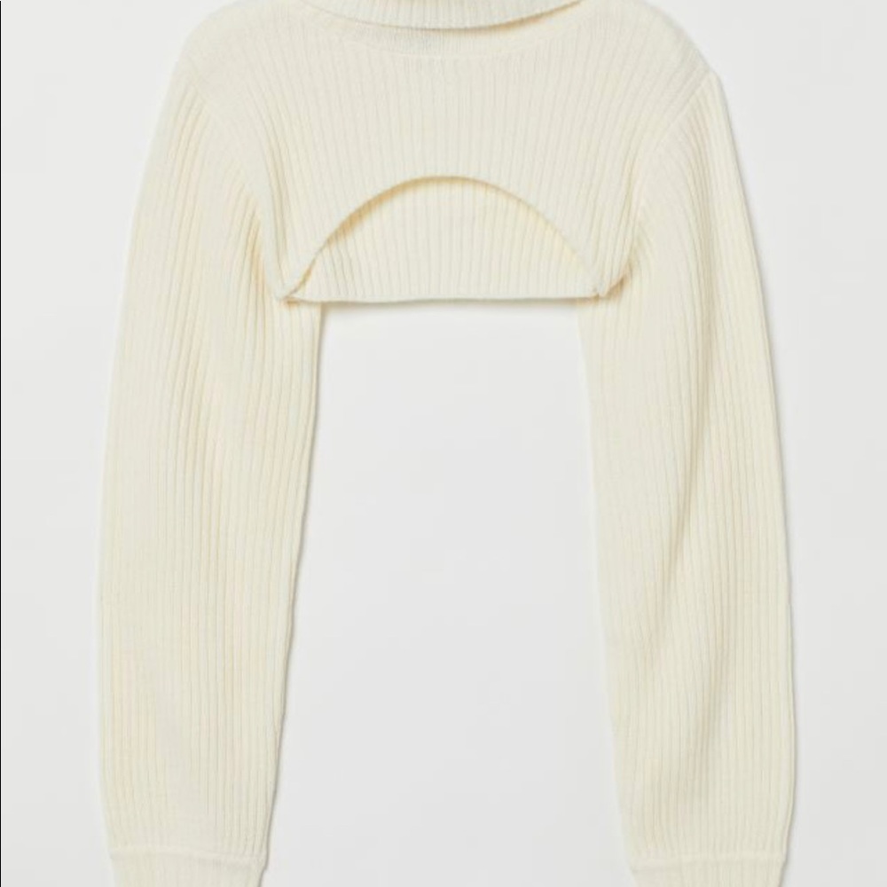 NWOT h&m crop turtleneck sweater